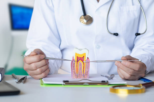 Best Emergency Dentist for Special Needs Patients in Mebane, NC